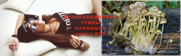 бошки Верхний Тагил