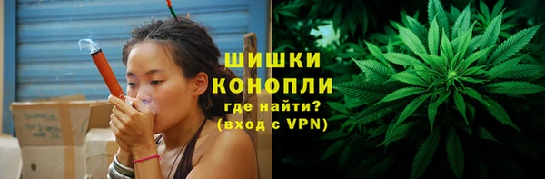 сатива Дмитров