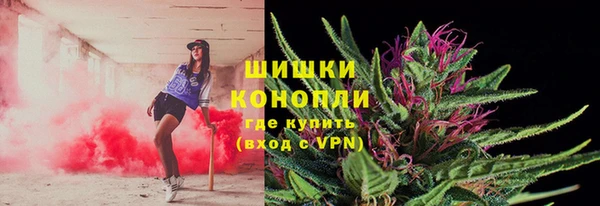 сатива Дмитров