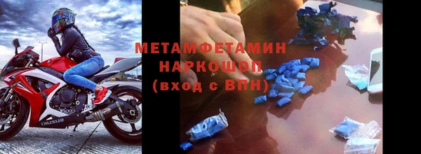 сатива Дмитров