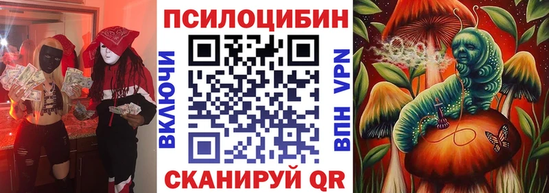 Галлюциногенные грибы GOLDEN TEACHER  Купить закладки  Кировск 
