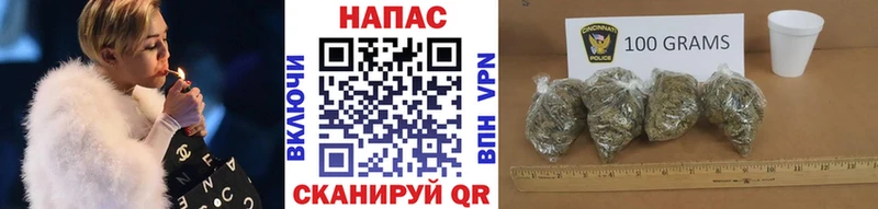 Купить где  Кировск  Бошки Шишки ГИДРОПОН 